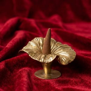 Droozy Flower Incense Holder